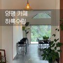 카페하록 | 양평 카페 하록수림, 아기랑 숲속 정원 힐링 후기(애견동반 가능)