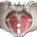 코어스튜디오 이미지