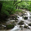 관양동 관양고등학교 앞 이미지