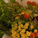 일상 속 생활 꽃꽂이 이미지