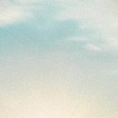 폴리민박 이미지