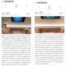 충현동물병원 - 3589 | 충현동물병원