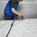 화이트크린닥터 | 📍 대전 유성구 매트리스 청소 후기, "태닝로션 얼룩과 반려묘 털까지 말끔하게!"