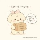 그린다우 | 두두 그림자극장 공동구매 내돈내산 후기 ✨