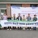 영광 태양광발전소 이미지