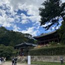 원앙장 | [랜선 궁둥이 소식-월E]워리와 함께 <시간여행 그날, 효명> 춘앵전에 대해서 알아보자宮 feat. 인터뷰