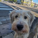 스테이준 이미지