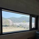 카페달리아 삼랑진 이미지