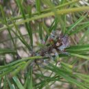 강화농약종묘사 이미지