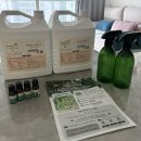 강아지집 | 아보리덤 편백수 대용량 가성비 탈취제 후기｜강아지 키우는 집에서 안심하고 쓰는 이유