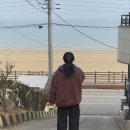 배드파티쉐 | 태안_만리포니아 펜션 후기, 간장게장 맛집 향토꽃게장, 츠지조리학교 출신 파티시에의 카페 태안커피집...