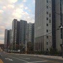 와스타디움 테니스장 앞 신호등(건너편) | 대구 동구 신암동 해링턴플레이스동대구 대리임장