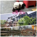 봉황로또 | 중국 청두(1)/중국여행 기본정보/문수원 안순다리 춘시루
