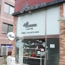 비비드마카롱 이미지