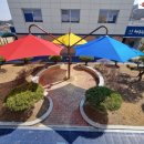 상주동부초등학교 | 쌍둥이 파라솔 / 쌍둥이 파라솔 / 세쌍둥이/대형파라솔 / 파라솔 / 설치 후기 /초등학교파라솔/ 학교그늘막