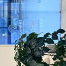 신반포역 2번출구 이미지