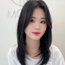 블랙헤어 이미지