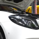 TM모터스 이미지