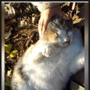 포스마트 이미지