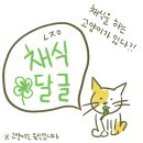 ✨️🥗 채식 임시 달글 🥗✨️ 이미지