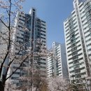 뉴현대114공인중개사사무소 | 서울시 서대문구 남가좌동 현대아파트 141/114 42평 매매