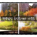 원베일리반포삼성공인중개사사무소 이미지