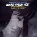 초우초우
