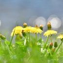 사주명리학 이미지