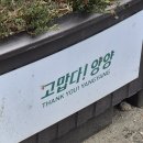 양양로 | 🧸 양양 소품샵 추천｜양양로 소품로드 7곳 직접 다녀온 후기