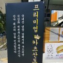 개새푸드