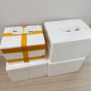 더듬이PC | +1331 :: 뒤늦은 봉달후기 : 포썸래스, 옐로우래스...안테나고비, 블랙바크로미스, 탈봇담셀, PC레인보우