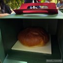 황언니 펫살롱 | 가평카페추천 :: 대가족이 대만족한 "아난디 코드 살롱 드 이터널저니"