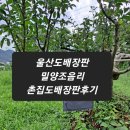 촌집추어탕 - 양산시 가촌서7길 60 | 울산도배장판#밀양조음리촌집 도배장판후기#울산도배친구#울산도배잘하는곳#가마솥추어탕집