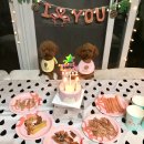 오 마이 리틀베이비 이미지