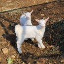 보다더캠핑 이미지