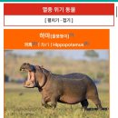 명륜태권도체육관 | 놈팽이 물뚱뚱이의 요 근래 일상