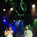 뮤직트리음악학원 이미지