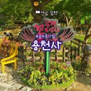 용천사