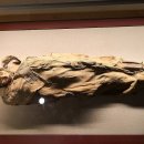 미인목장 이미지