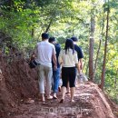 시민의숲산책로1-11 이미지