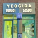 여기다댕댕이냥냥이
