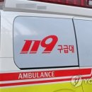 119 연합뉴스TV