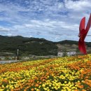 (주)블랙스톤에듀팜리조트 골프장 | 충북 증평 가볼만한곳.가족나들이 강력추천 블랙스톤 벨포레목장 정보공유 및 솔직후기