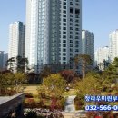 청라중앙약국 이미지