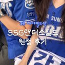 209 | 인천 ssg랜더스필드 3루 내야필드석 원정 후기 (209블럭 D열 시야)