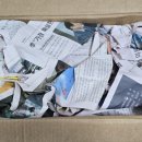 야망농장 | 베란다 텃밭 화분 플라스틱 긴화분 상추 분갈이 후기