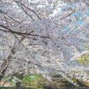 성곽공영주차장 화장실 이미지