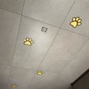 [경기/수원] 서울 근교 애견동반 쇼핑몰 ‘스타필드 수원’ (+몰리스펫샵, 8F 스타가든)🏬
