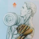 운동J GYM 이미지