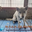 도봉로-1 이미지